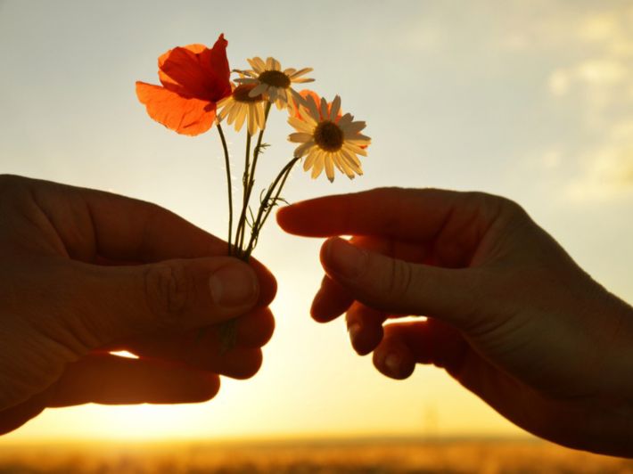  السياسة هي الإيثار